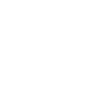 LEO LOGO